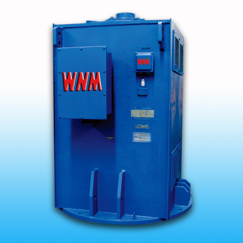 YL、YLKK系列立式電機(jī)（6KV/10KV）